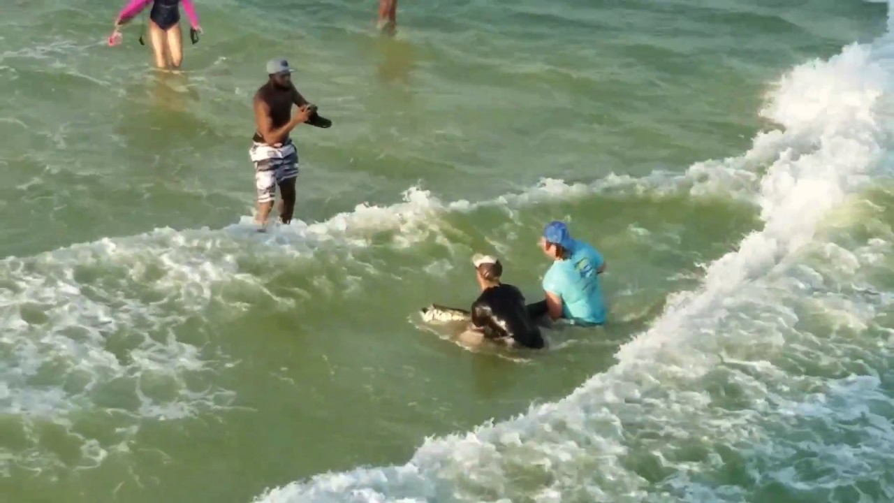Angler lands tarpon at Okaloosa Fishing Pier