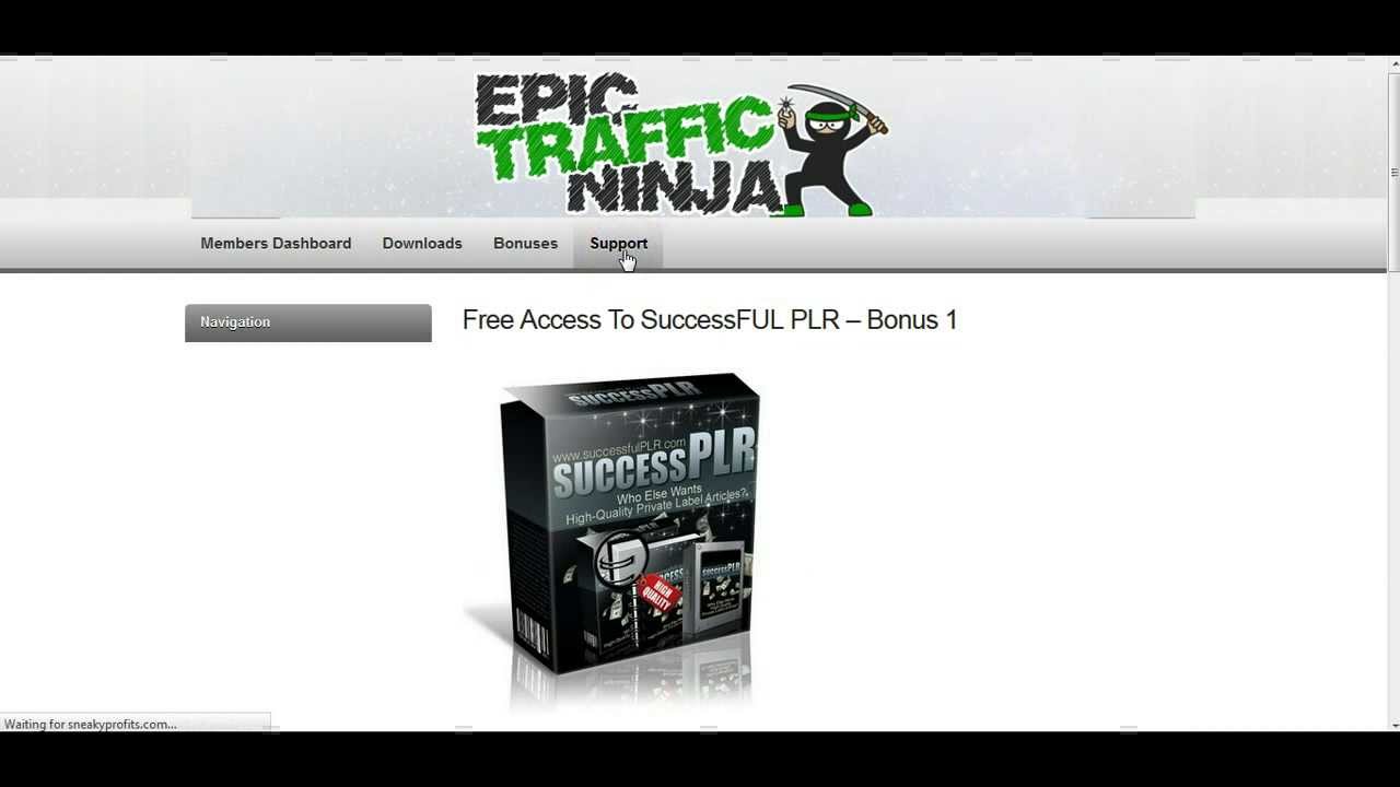 Epic Traffic Ninja Review