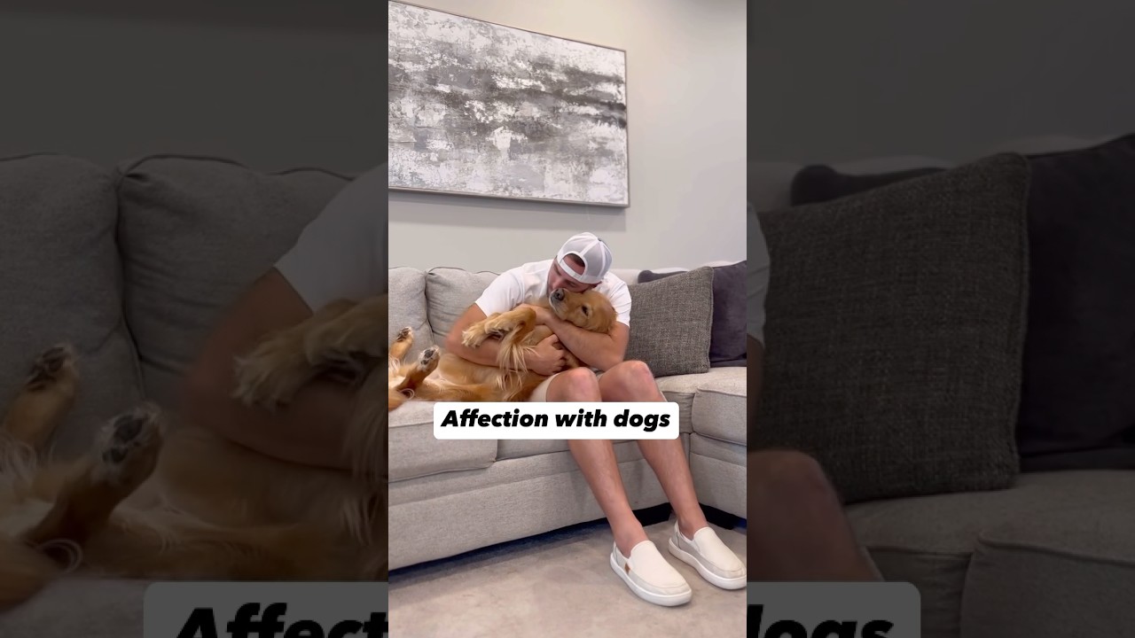 How people act with dogs vs humans!