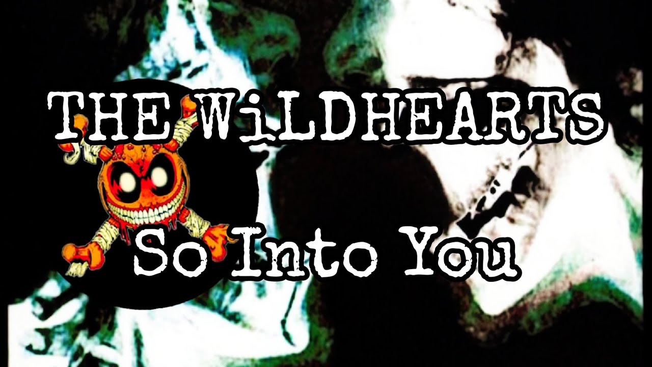 THE WiLDHEARTS - So Into You (Lyric Video)