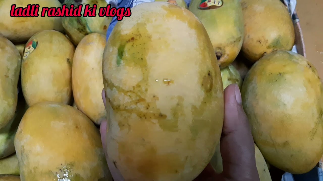 How Chaunsa Mango Looks Like|King Of Fruits Pakistani Mango|Chitta Chaunsa Aam|ladli rashid ki vlogs