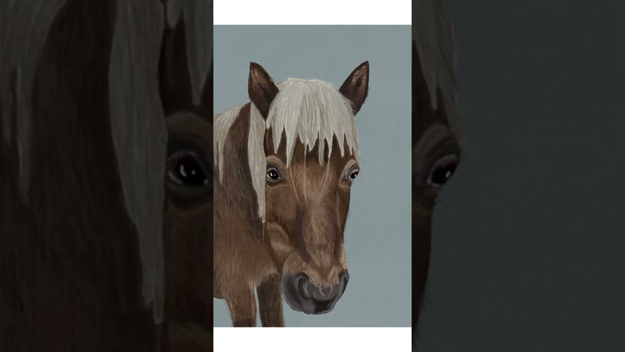 Pferdeportrait M&aacute;nad&iacute;s - Timelapse (dein Pferd malen lassen) - Procreate, digitale Zeichnung