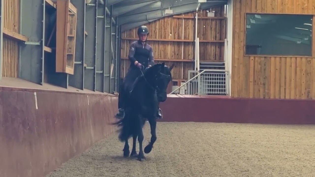 Mirri lesson 03.06.22