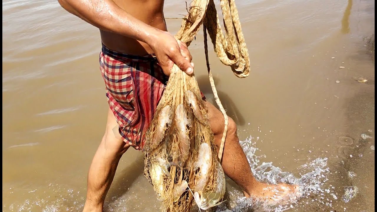 Amazing Nets Fishing in Me Kong River- Cambodia Traditional Fishing - Khmer Net Fishing