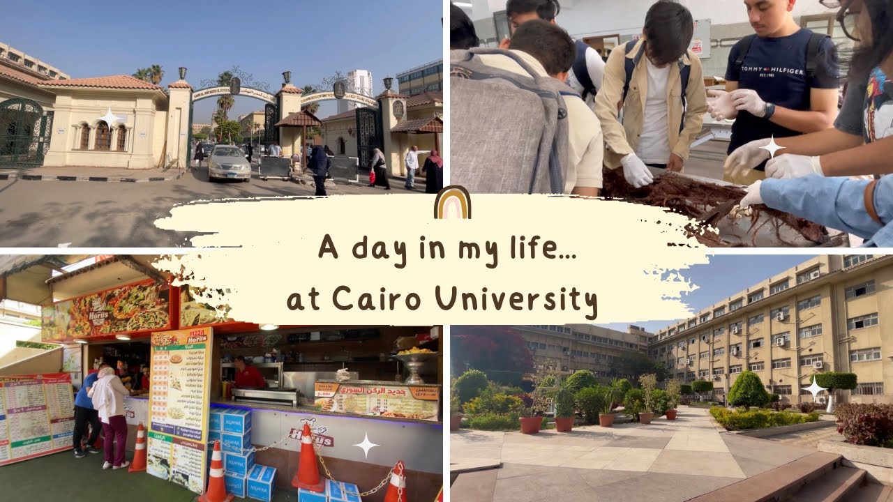A day in my life at Cairo University. #mbbsabroad #mbbsinegypt #medicalschool