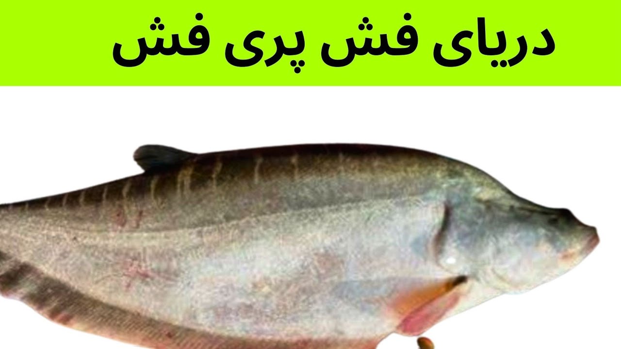 Pari fish recipe | pari fish banane ka tarika