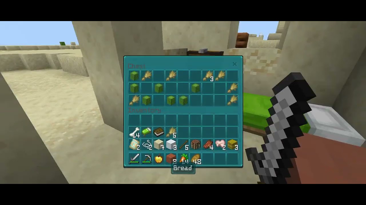 Minecraft video 
