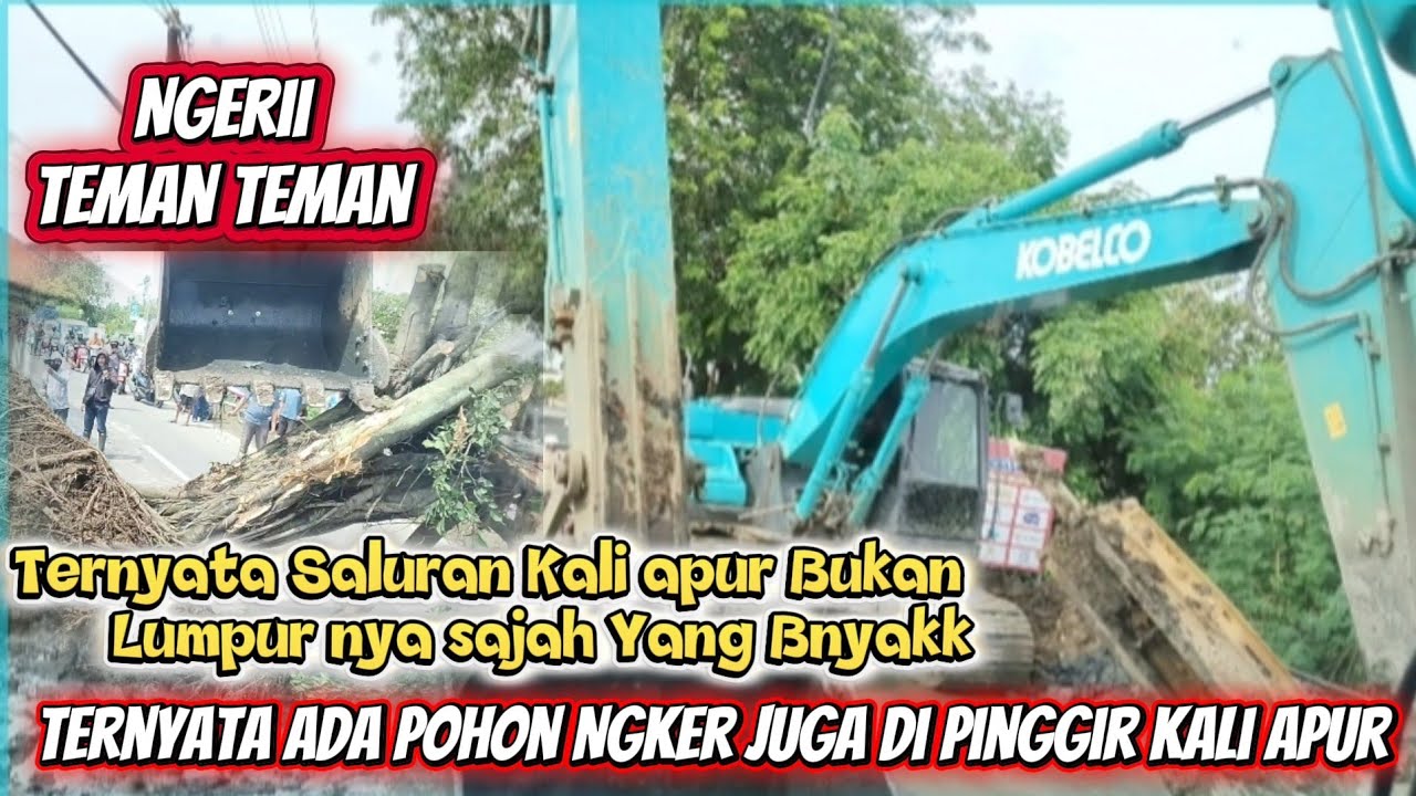 Ngerii❗Ternyata di Kali apur Ada Pohon angker temn teman