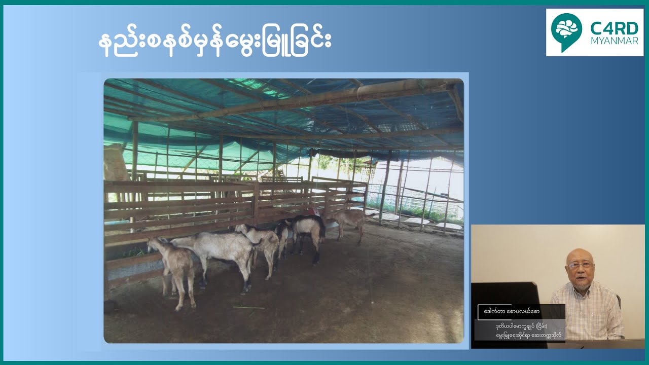 နည်းစနစ်မှန် မွေးမြူခြင်း