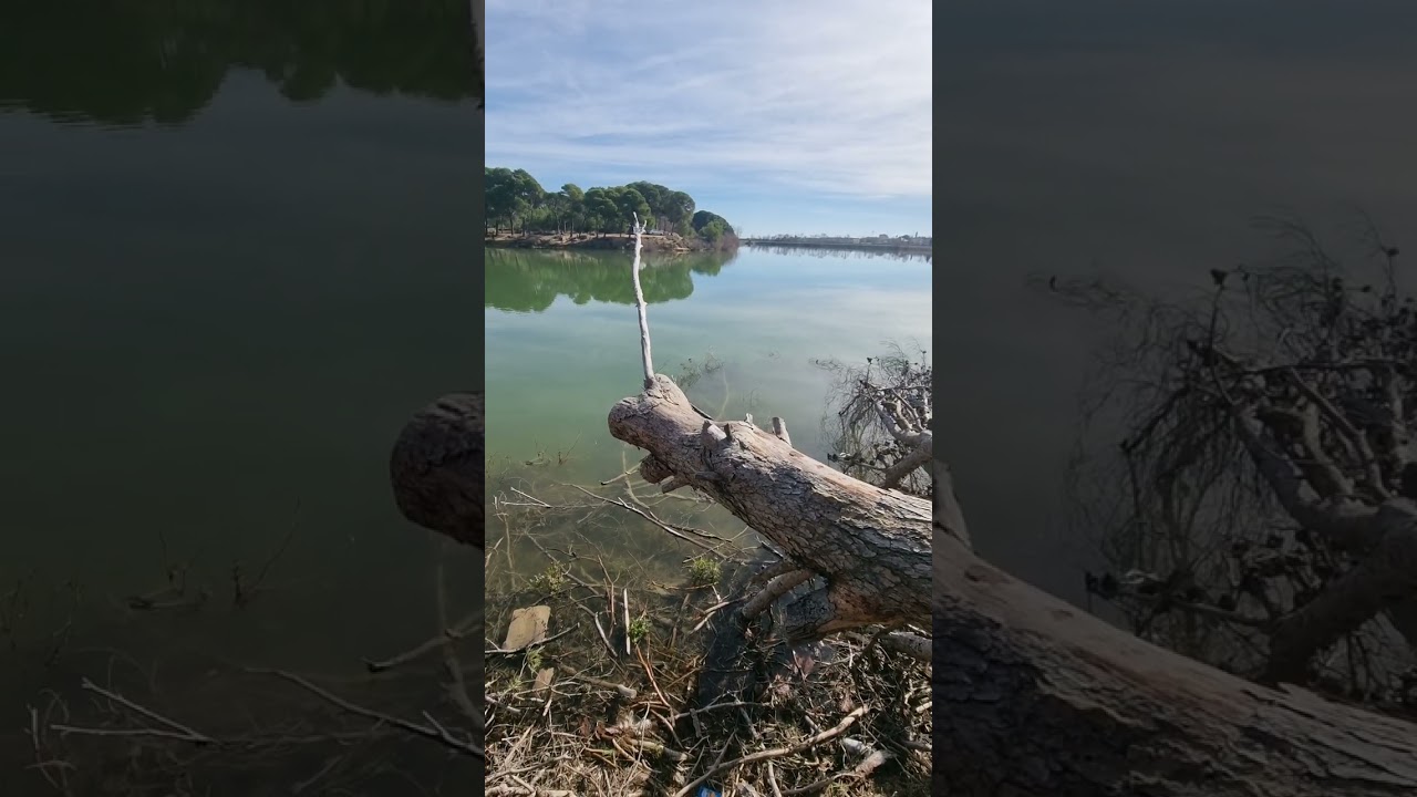 De paseo ! 🥰🎣