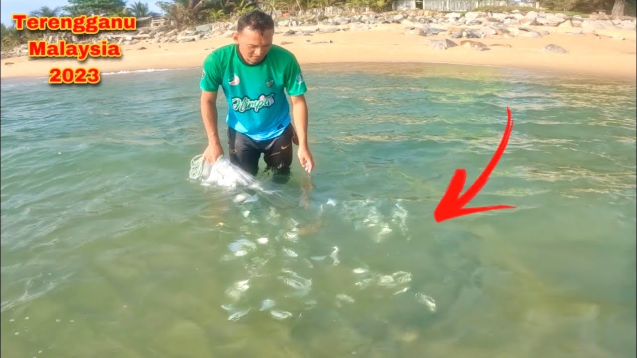 🇲🇾Kawanan Ikan Pelata Timbul Hanya Beberapa Saat Sahaja! | Rezeki Penduduk Pantai Terengganu