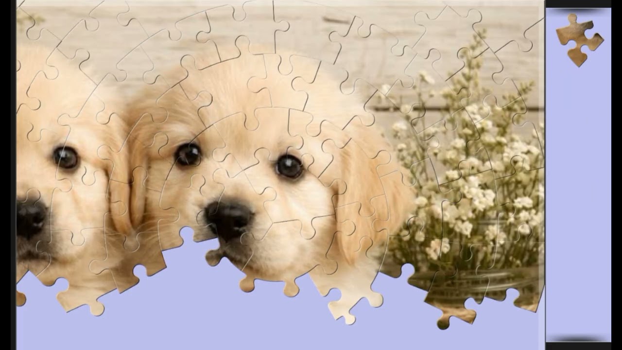 Two Cuties🐶🐶 jigsaw puzzle🧩🧩 || @funpuzzle1122