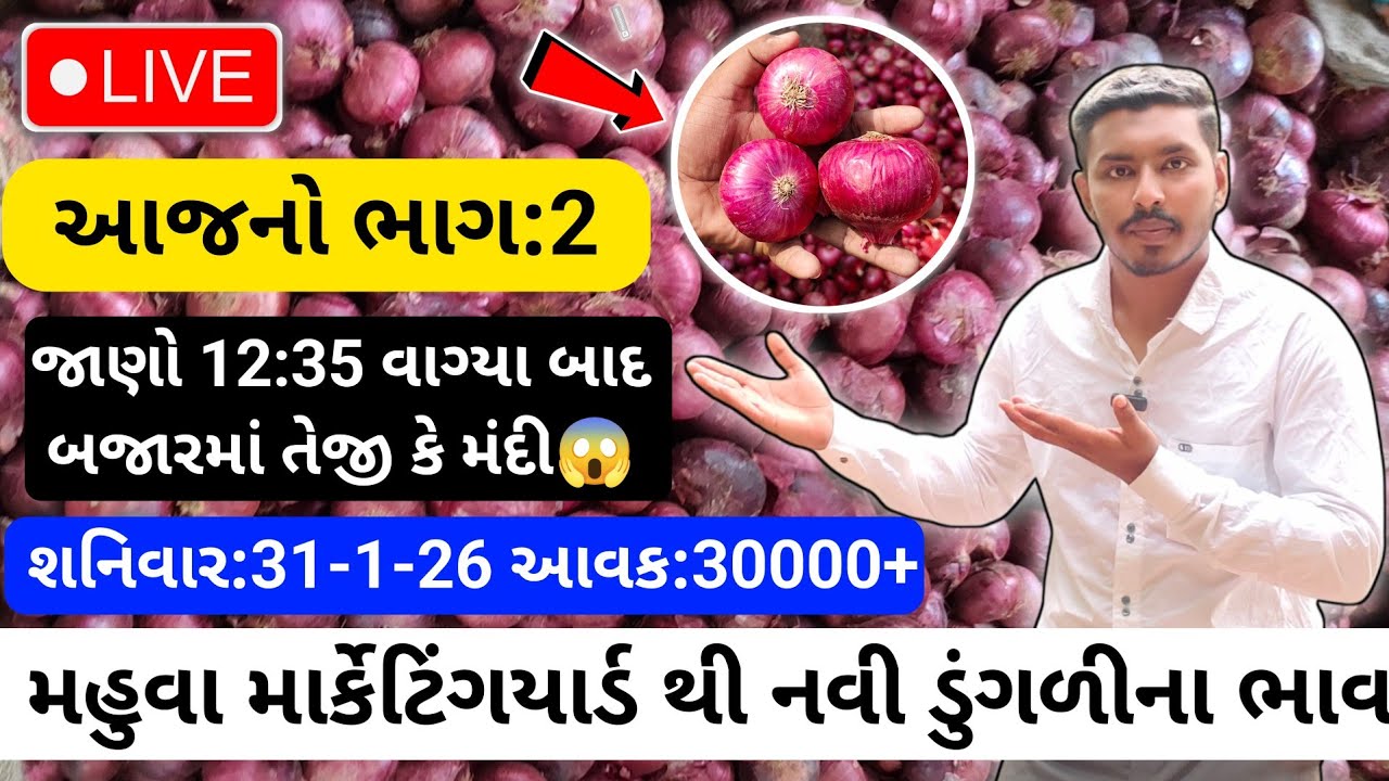 આજના ભાગ:2 ભાવમાં વધારો થયો કે?😱| 31/1/26 | Red Onion Rate Today💸| लालप्याज का बाजारभाव🧅|APMC MAHUVA