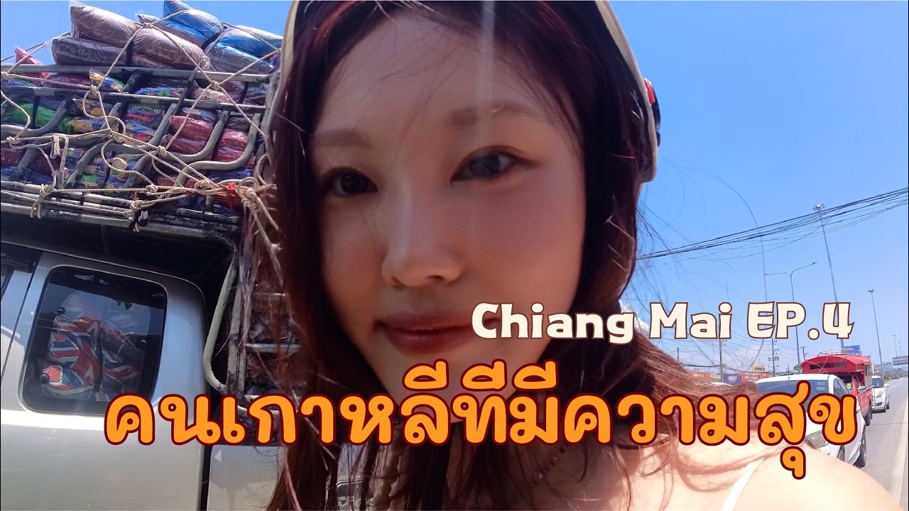 มีความสุขทั้งวัน…จนเจอแมลงสาบ