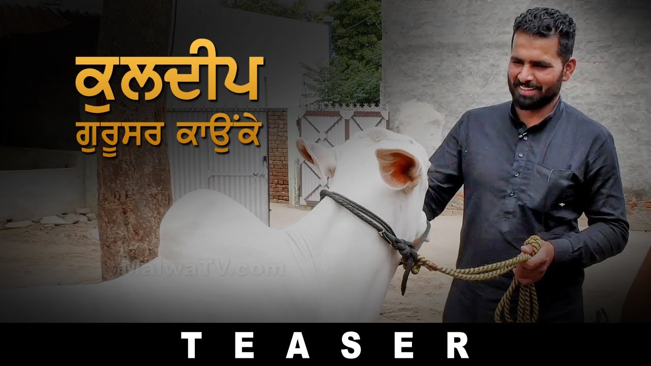 TEASER | KULDEEP GURUSAR KAUNKE | VICKY GREWAL GUJJARWAL | Top Ox Player in Punjab 2021 | HD