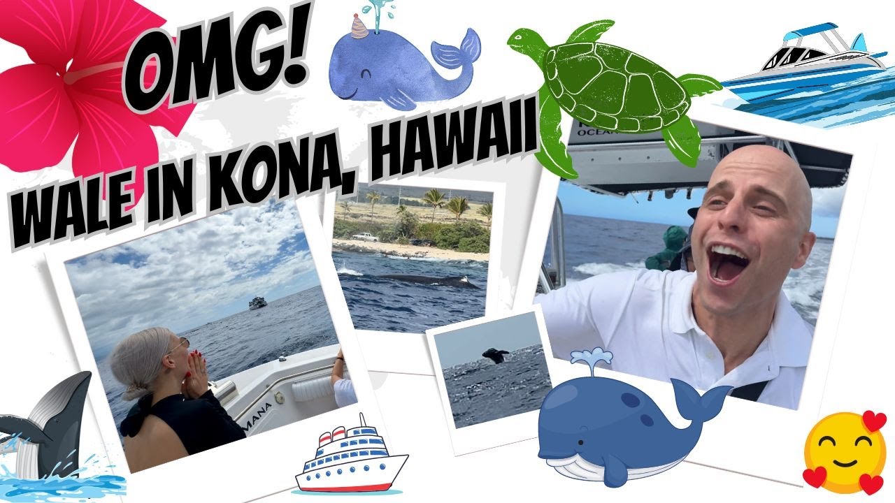 Weltreise: Wal-Tour in Kailua-Kona auf BIG ISLAND, Hawaii