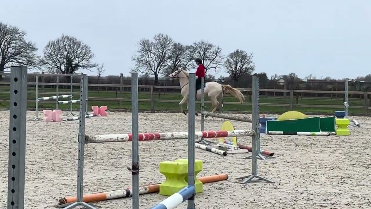 Madison de l’anguillere 4 ans 