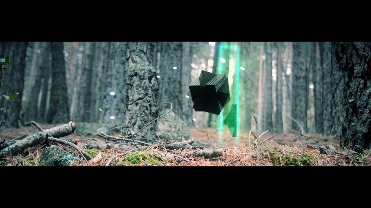 Le Temps Du Loup - T’oublier (Official Music Video)