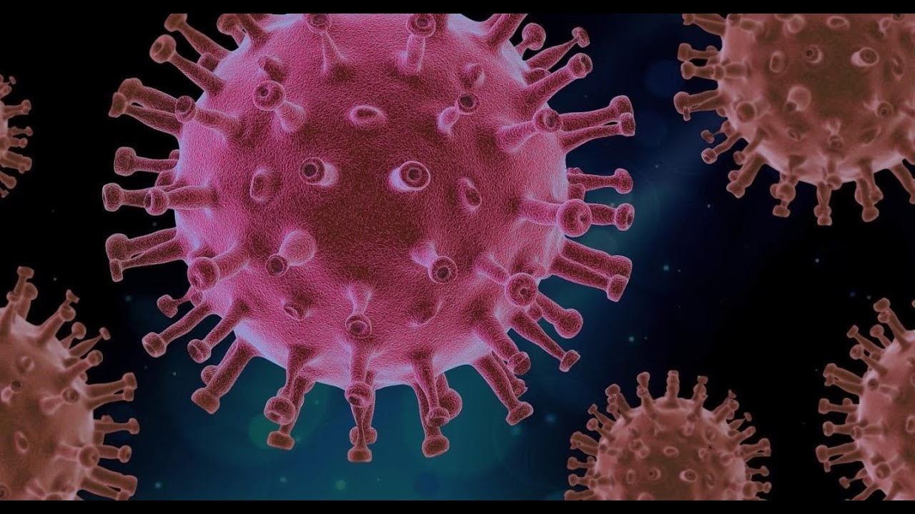 THE SPIKE PROTEIN Decoding the coronavirus&rsquo;s &lsquo;crown jewel&rsquo;