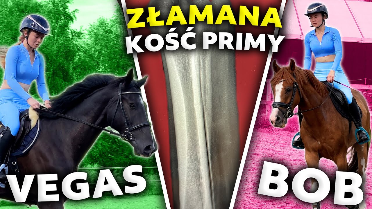 PRIMA ZŁAMAŁA KOŚĆ! | OBOZOWICZE pomagają przy KONIACH
