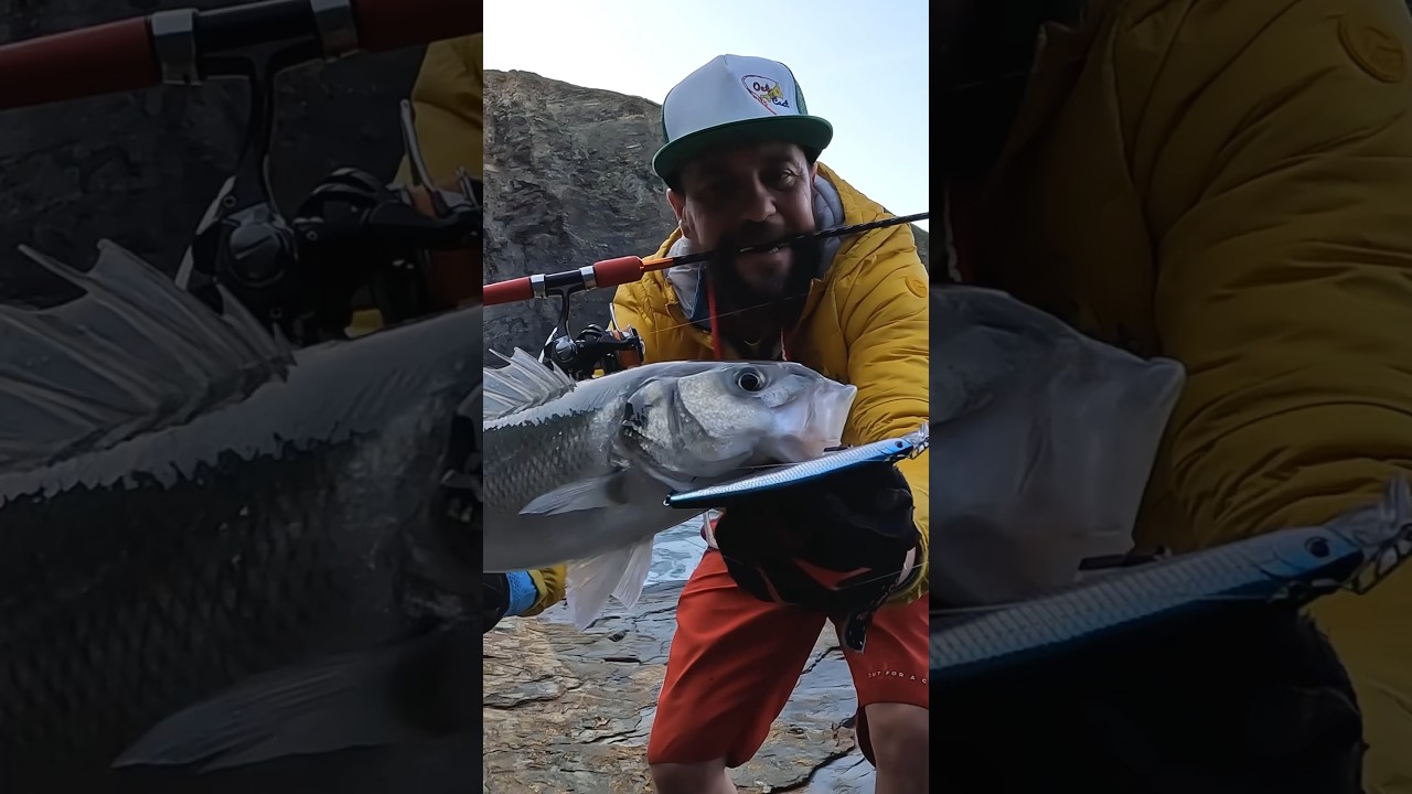 Sea Bass Fishing | New Lures | Out For A Cast #seabass