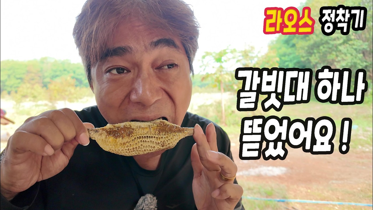 ep596 기력 보충!