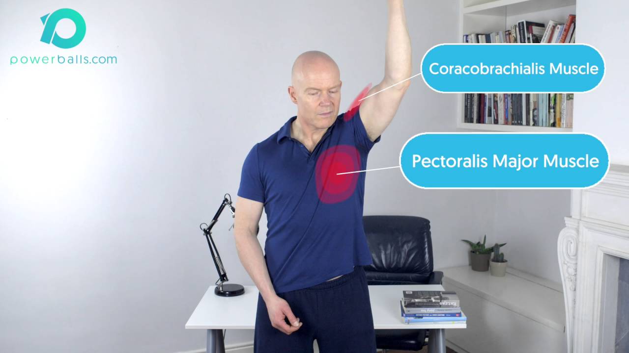 Exercise - The Shoulder Flexors