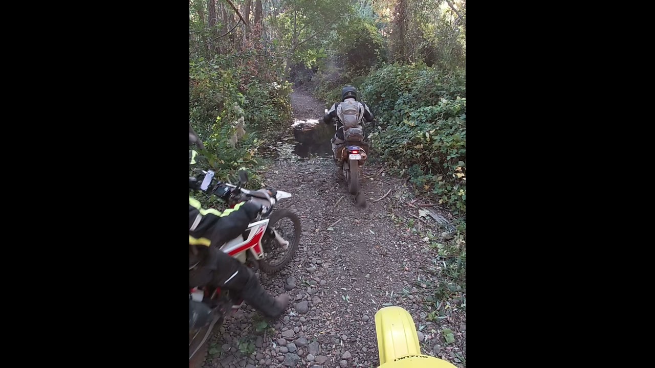 Deeper than it looks DRZ 400 beta 390 adventure riding water crossing
