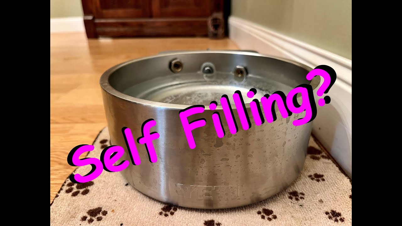 Self filling dog water bowl