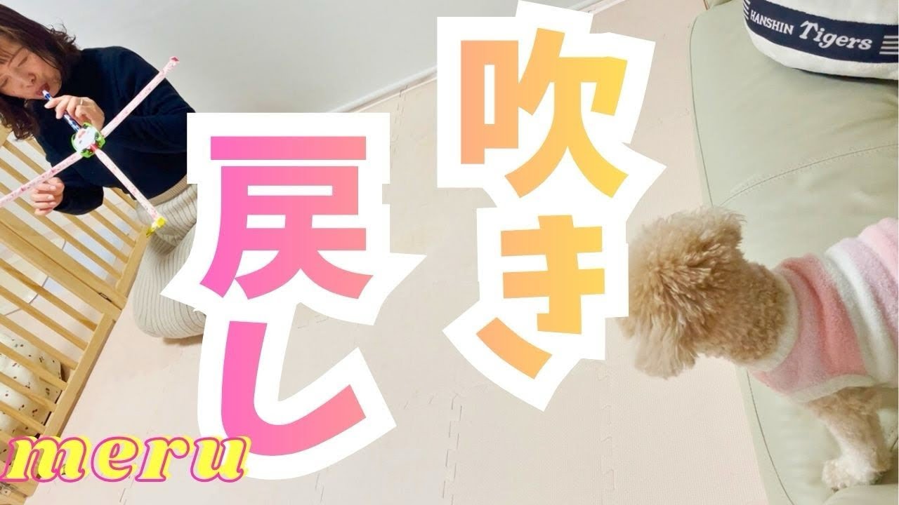 吹き戻し