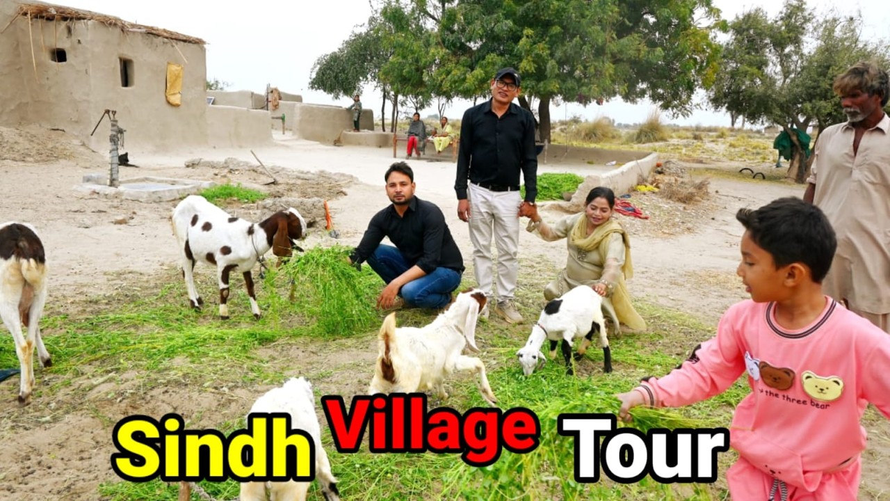 AJ hum gy village Ka tour karny | village Tour | Vlog by Moosa Bhai