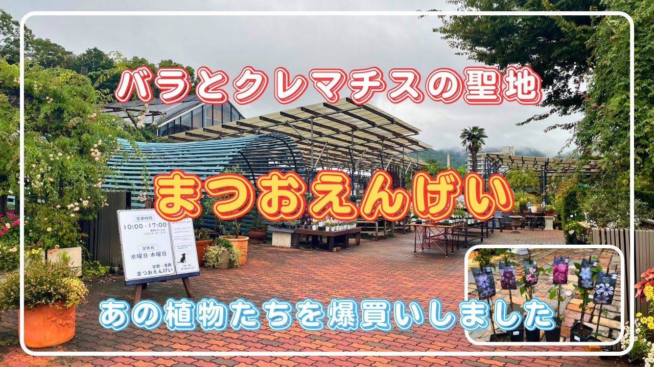 バラとクレマチスの聖地【まつおえんげい】あの植物たちを爆買いしました！