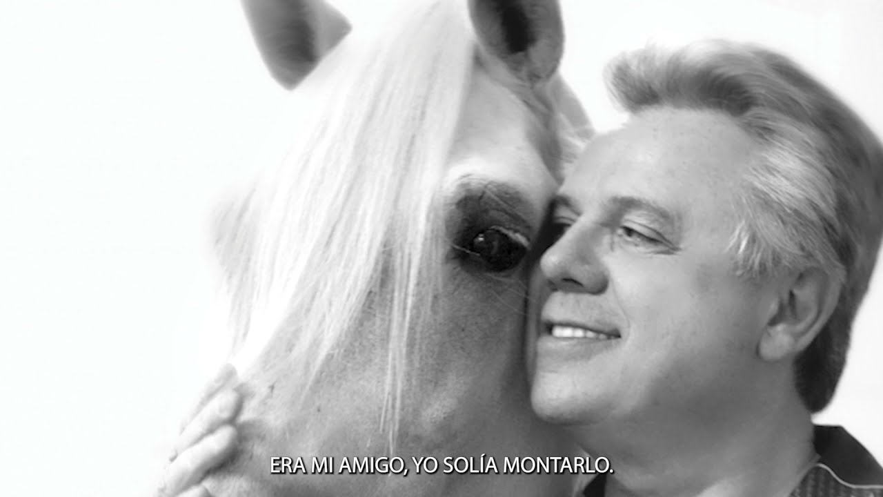 Profeta de Besilu 1989 - 2021 Loss of Besilu Collection's Legendary Paso Fino Stallion