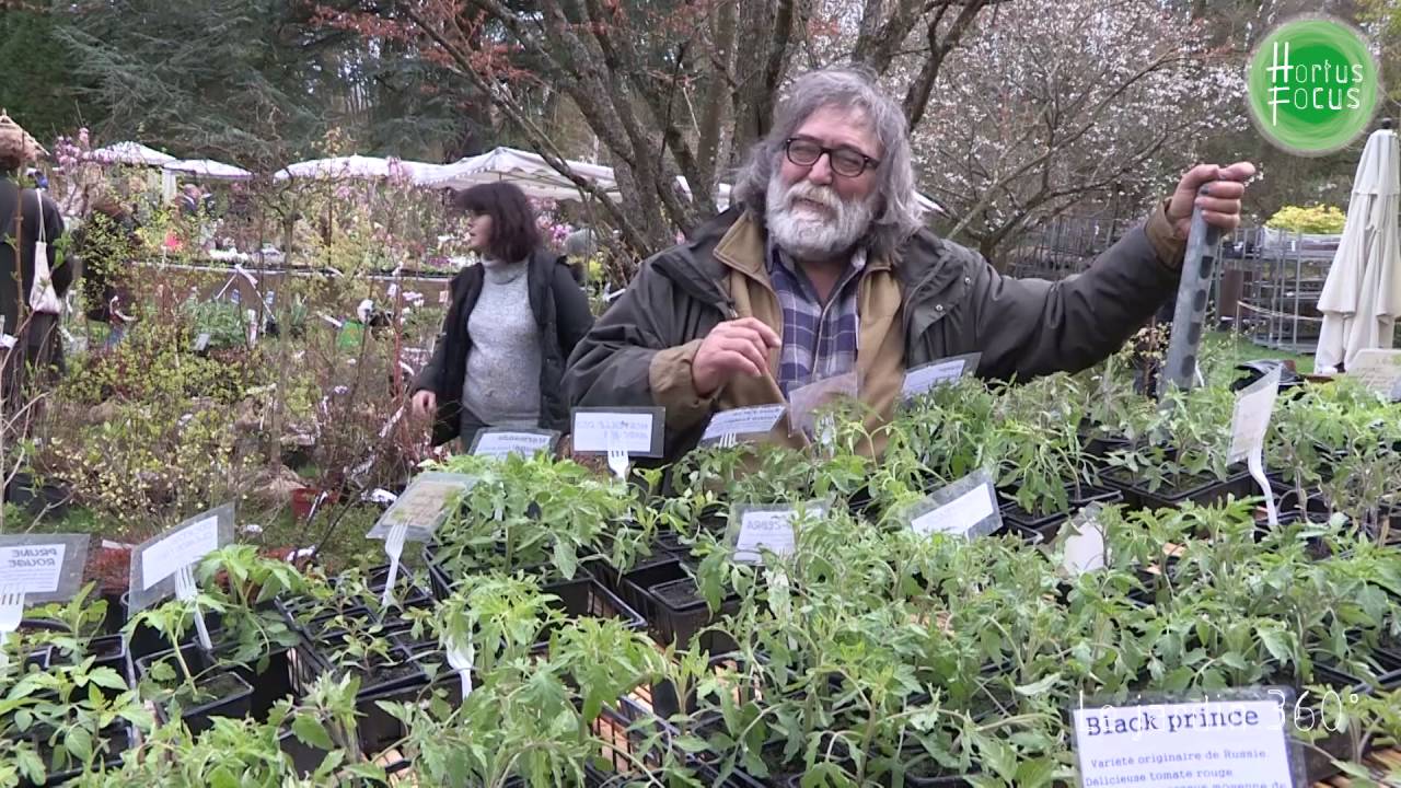 Conseils d'experts : choisir des tomates anciennes, par Jean-Marc Parra