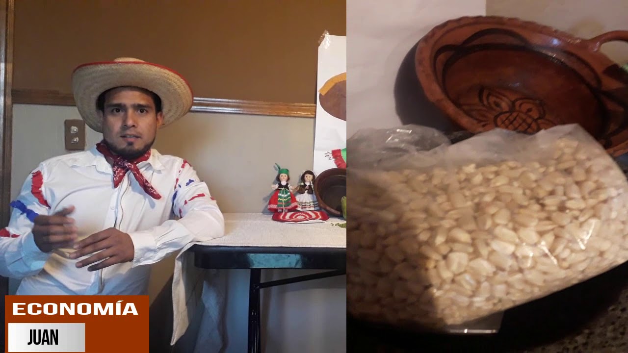 MAZAHUAS, (Historia, Organizaci&oacute;n social, Econom&iacute;a, Creencias y tradiciones, Educaci&oacute;n)