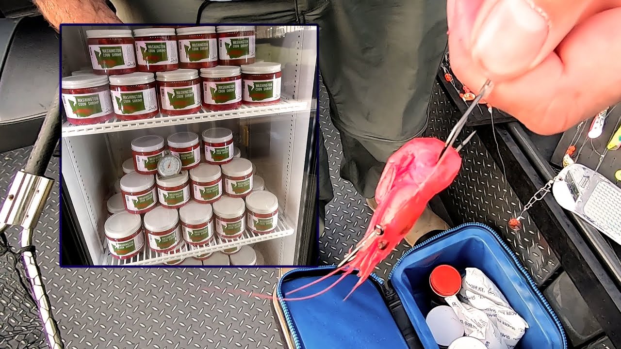 How Long Does Coon Shrimp Last?
