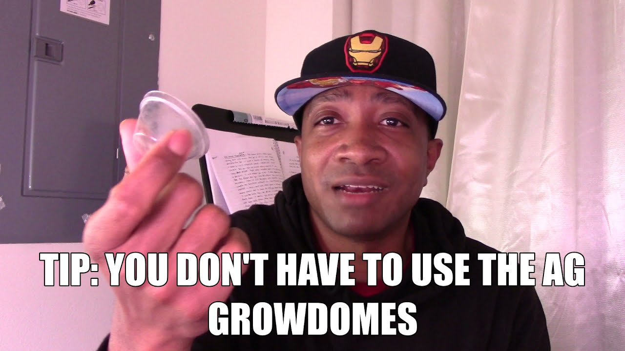 Aerogarden Experiment#1: Rapid Rooters CAN BE USED INSTEAD?! | Aerogarden Hacks