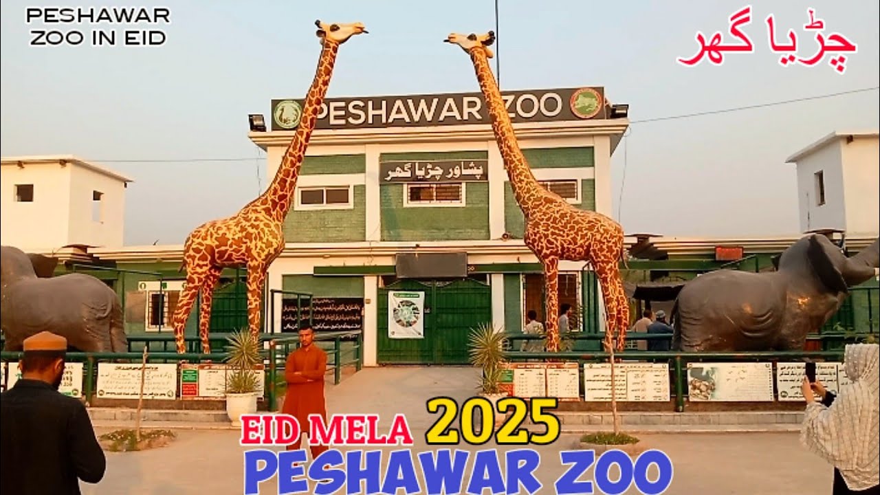 Explore Peshawar Zoo | Wild Animals In Peshawar Zoo | Wild Life Park In Peshawar Zoo