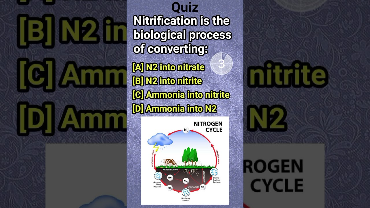 Nitrification is the biological|N2 into nitrate|N2 into nitrite|Ammonia into nitrite|Ammonia into N2