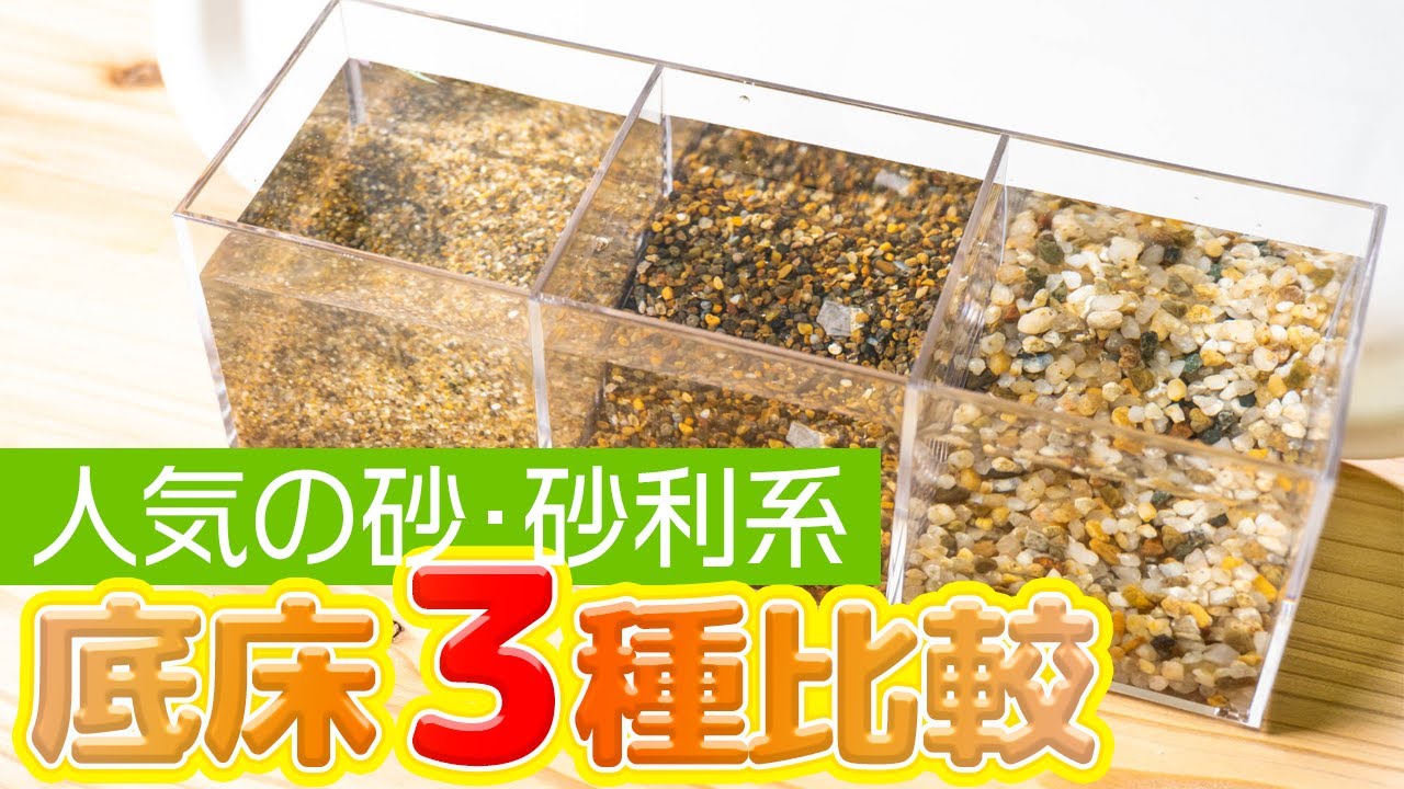 人気の砂系底床３種比較！珪砂・津軽プレミアム・田砂、色や粒サイズはこんなに違う #アクアリウム 【ビバアクア】