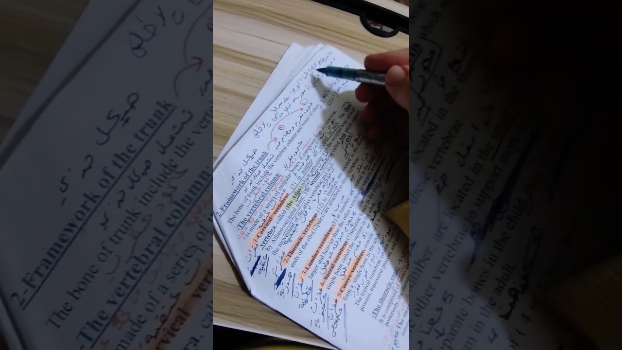 التشريح النضري المحاضره الثالثه