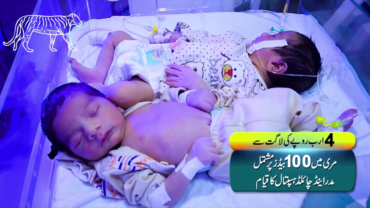 Shehbaz Ka Rawalpindi: Take a Sneak Peek at Social & infrastructural development in Rawalpindi