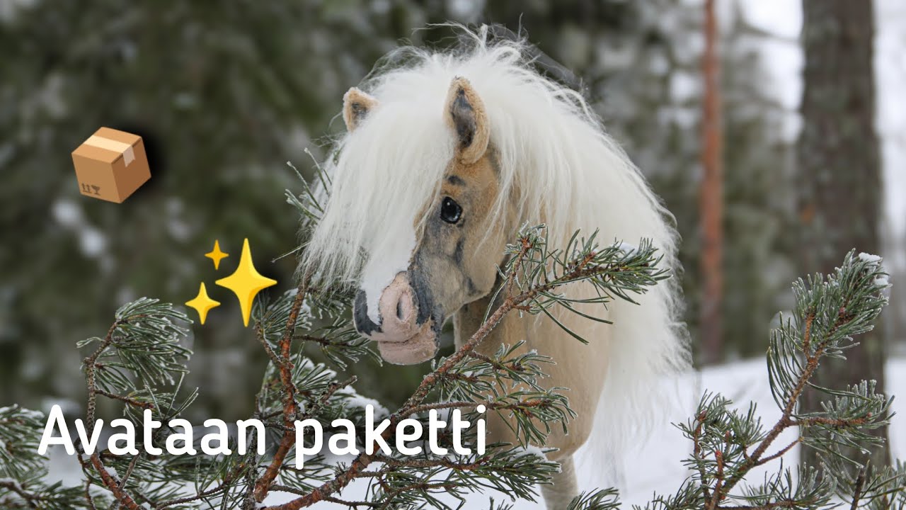 Avataan mysteeri paketti 📦✨