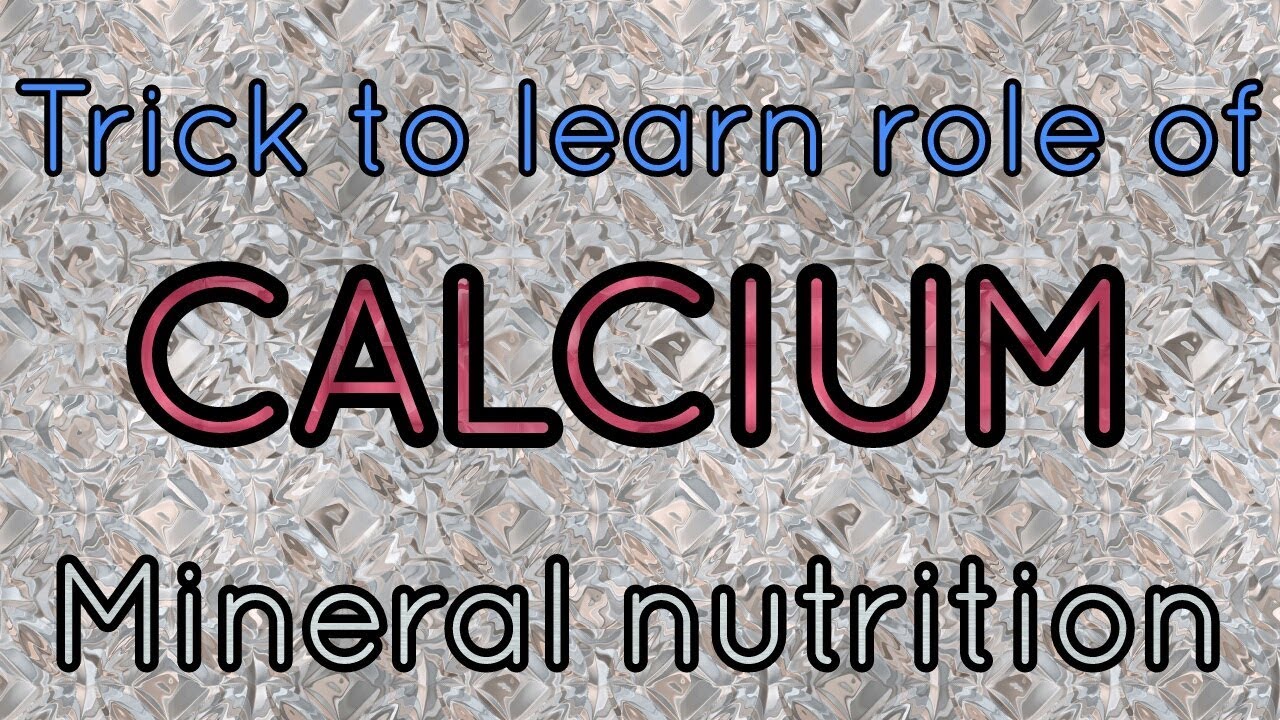 Trick to learn role of calcium in plants/ mineral nutrition.