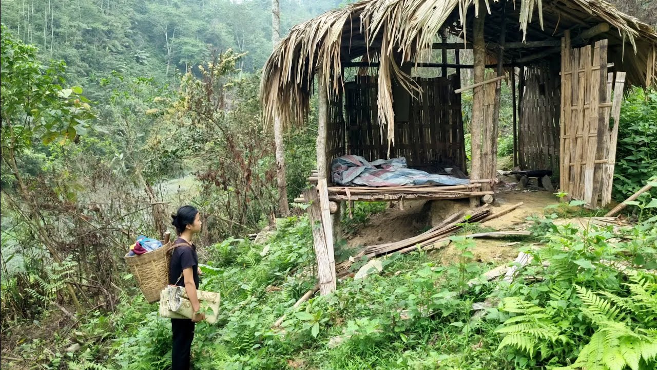 35 days, living in the forest, the girl cleaned up the abandoned house to make shelter & survival