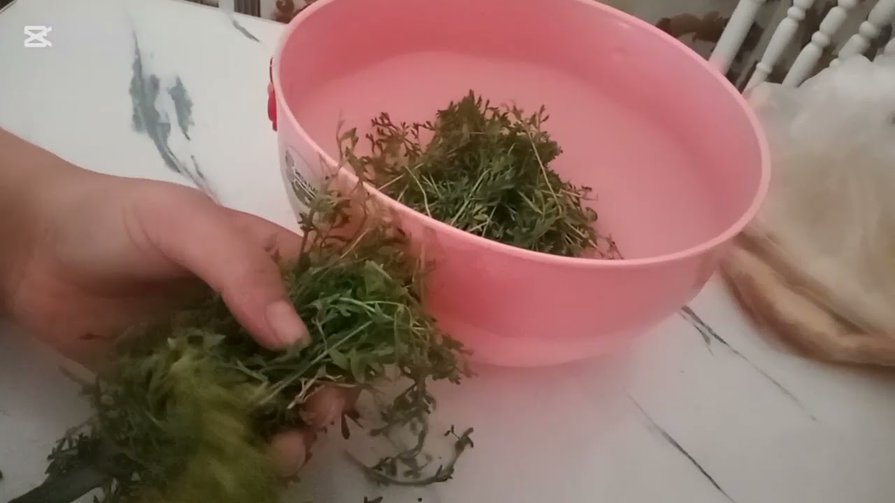 احلى اجواء 