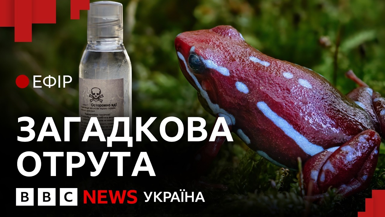 Як убили ворога номер один Путіна | Ефір ВВС