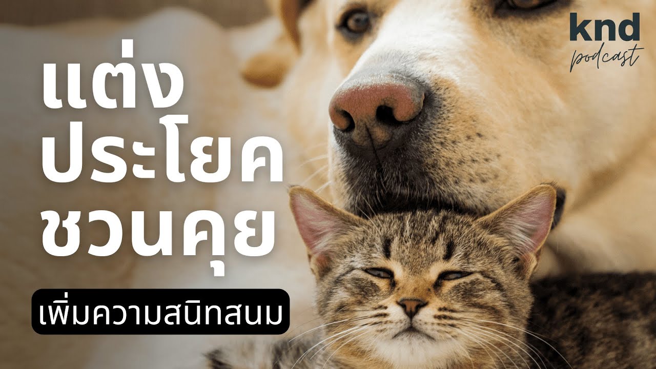 แต่งประโยคคำถามชวนเพื่อนไม่ค่อยสนิทคุย | คำนี้ดี EP.1019