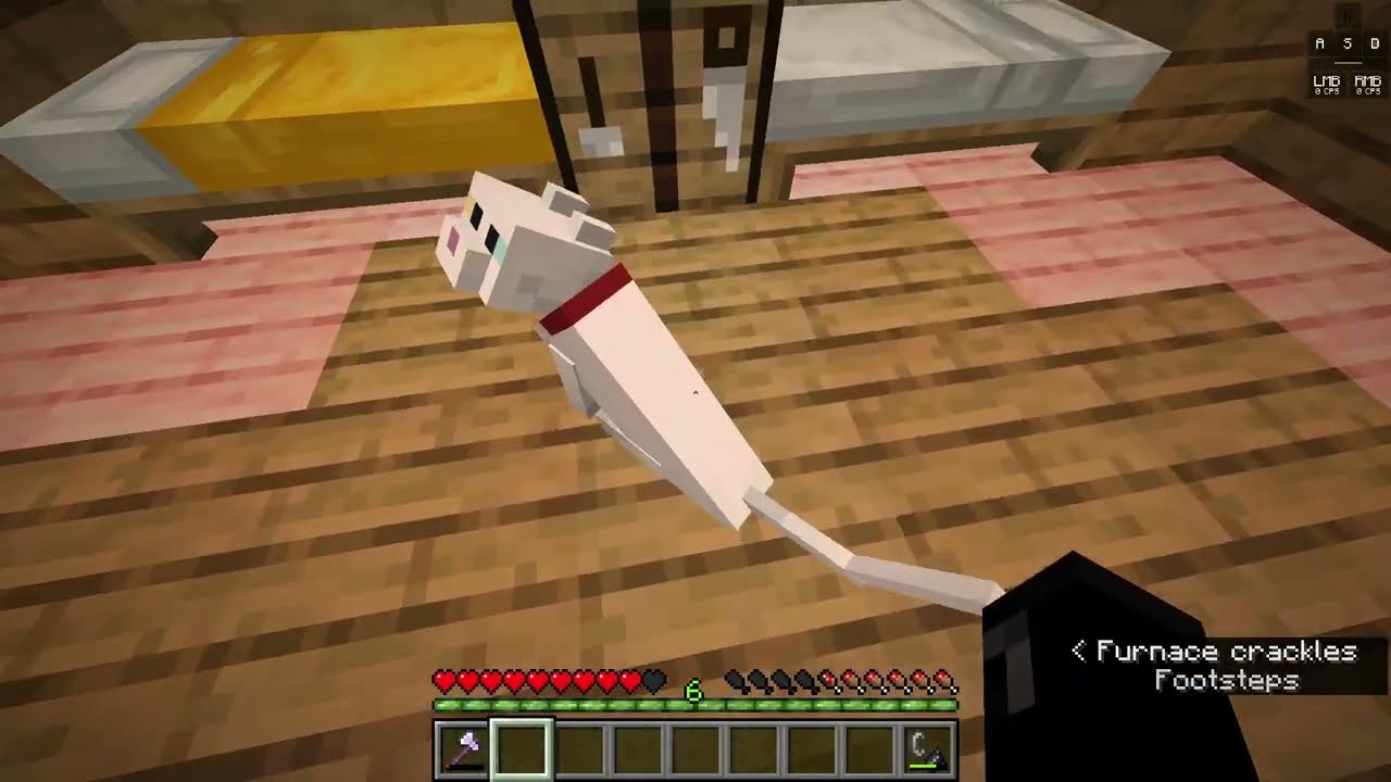 Extreme Minecraft with 2 mentally slow individuals #2