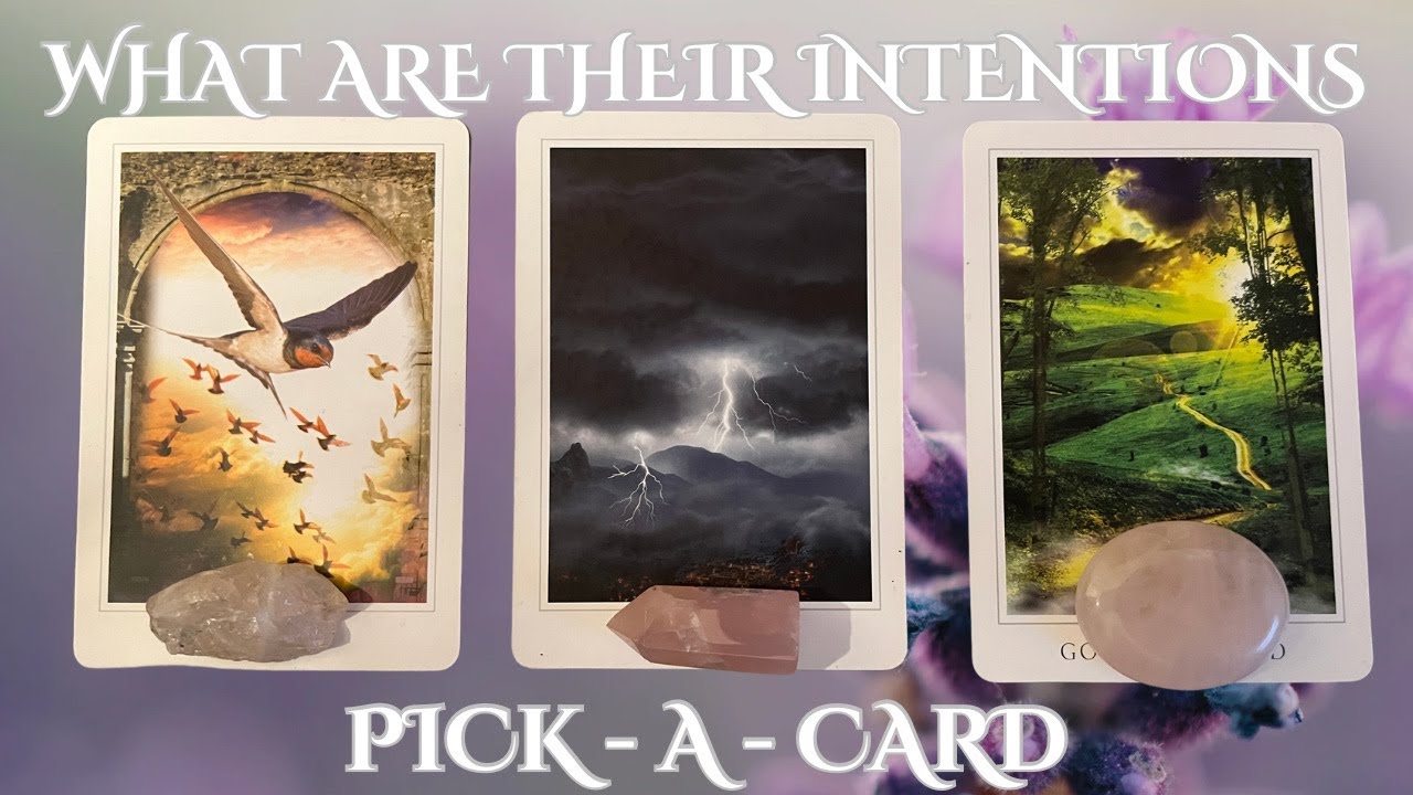 ❤️🔮What are their intentions❤️PICK-A-CARD✨🌙TIMELESS❤️LOVE READING#tarot #pickacard